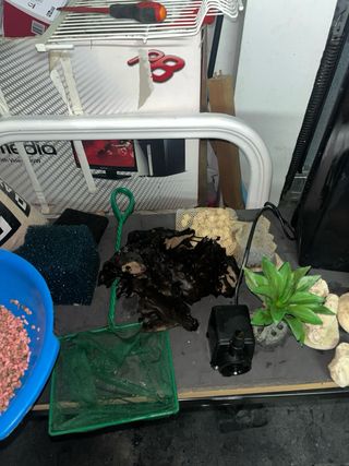 Kit accessori per acquari 100/200L