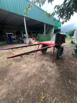 Carro valenciano mediano