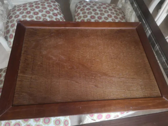 Vassoio decorativo Airedale Terrier