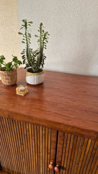 Mueble de caoba con puertas