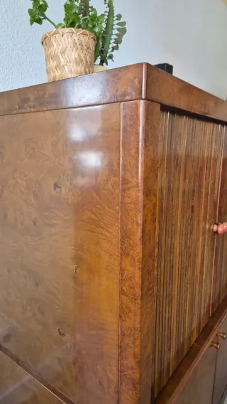 Mueble de caoba con puertas