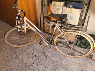 Bicicletta da donna vintage
