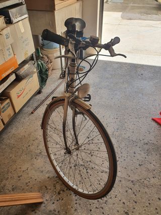 Bicicletta da donna vintage