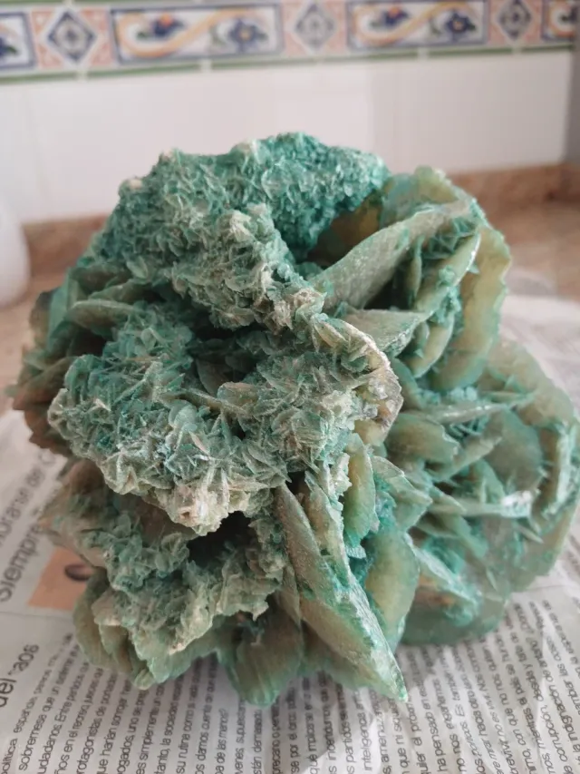 Roca Rosa Desierto Verde