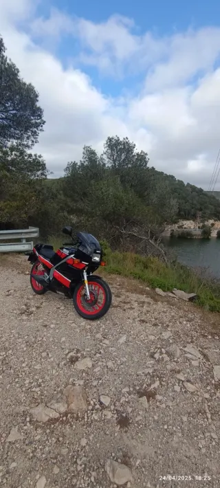 Yamaha TZR 75 Deltabox