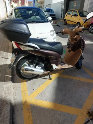 Honda Scoopy SH - Moto Scooter Marrón