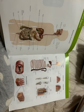 Biologia I Geologia, 3 Eso