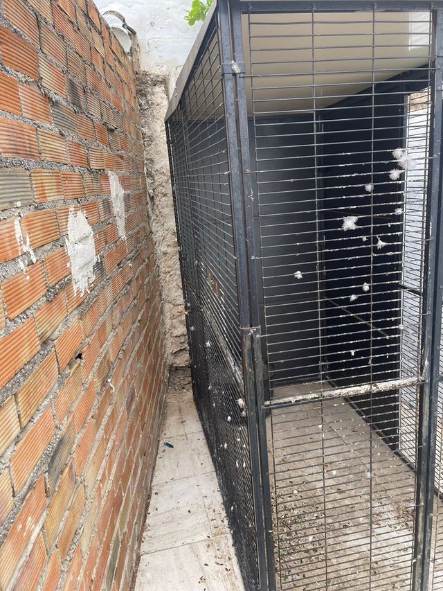 Jaula exterior 2 aguas