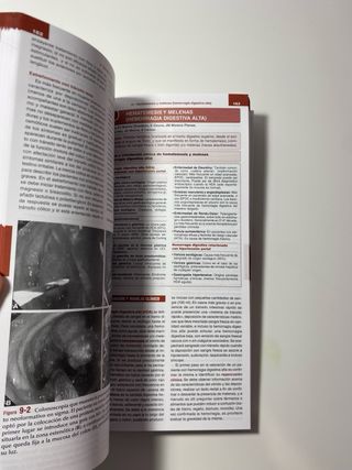 Greenbook Digestivo Dtm