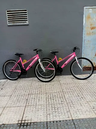 Bicicleta rosa