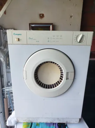 Secadora Aspes Ideal SA-33