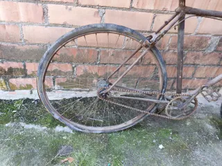 Bicicleta Orbea Decoración