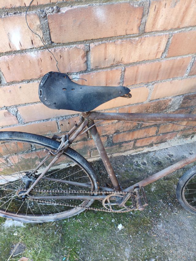 Bicicleta Orbea Decoración