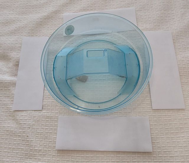 Se Regala Tortuguera.