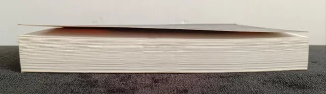 LOS CÓDICES VI-X 2 - ANA ISABEL SUÁREZ GONZÁLEZ