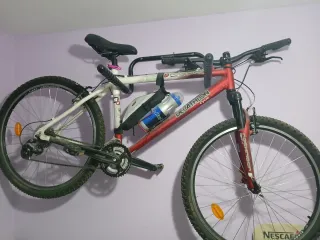 Bicicleta de Montaña