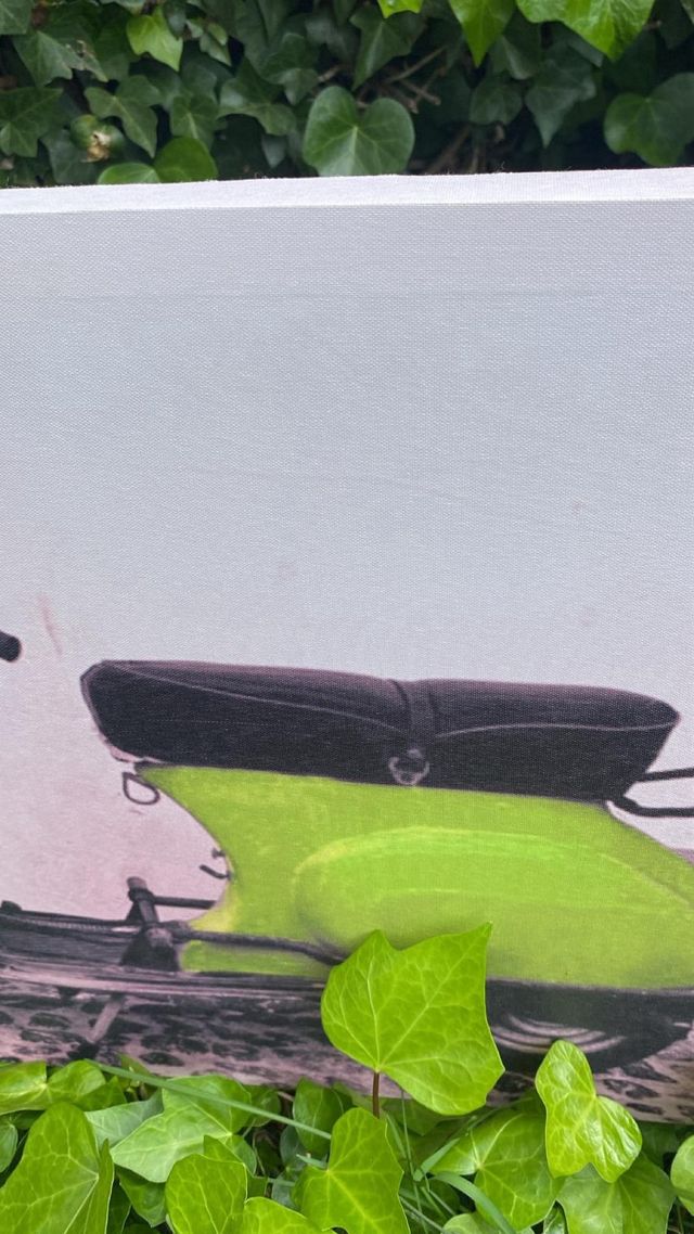 Cuadro Decorativo Vespa Rosa y Verde