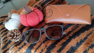 Occhiali da sole Ray-Ban Chris Havana
