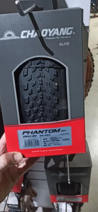 Pareja Cubiertas Chaoyang elite