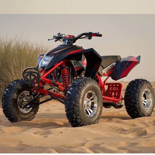 QUAD Sharmax Cruiser 350 GX- Potencia y control