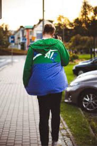 Chaqueta Jordan Verde y Morada