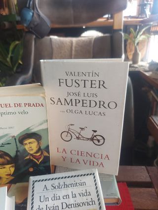 Grandes literatos