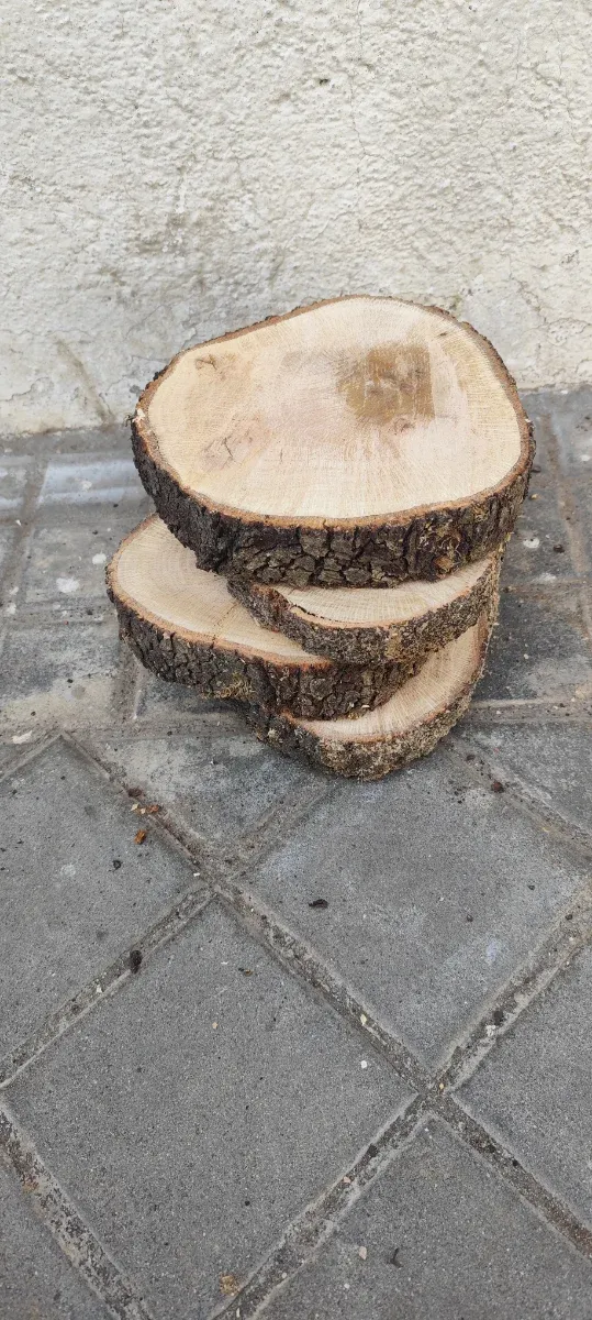 Rodajas de madera de encina