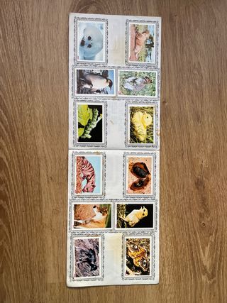 Álbum de cromos Infancia de los animales