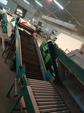 Calibrador electrónico de frutas 2 líneas.