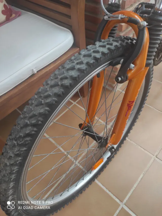 Bicicleta Infantil 24