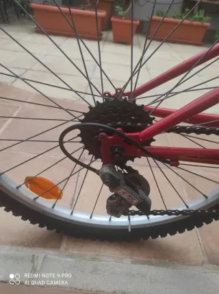 Bicicleta Infantil 24