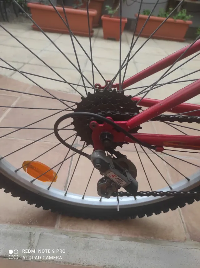 Bicicleta Infantil 24