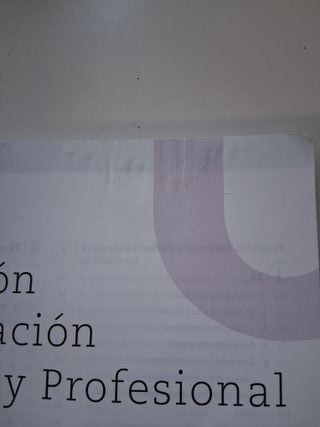 Formación y orientación personal y profesional ...