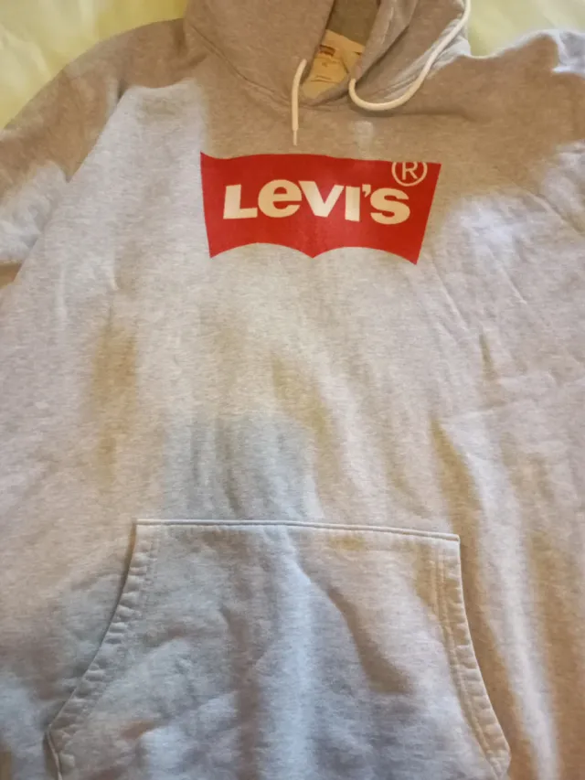 Felpa con cappuccio Levi's Grey