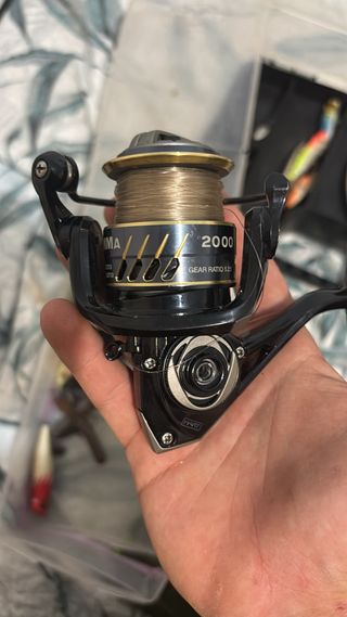 Equipo de pesca Black Bass