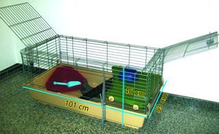 Jaula con accesorios para animales medianos