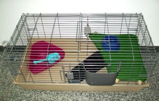 Jaula con accesorios para animales medianos