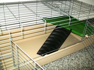 Jaula con accesorios para animales medianos