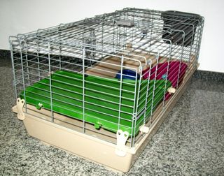 Jaula con accesorios para animales medianos