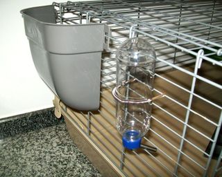 Jaula con accesorios para animales medianos