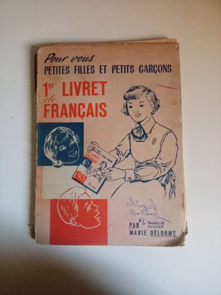 Lote libros escolares antiguos 1