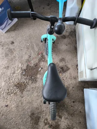 Bicicleta de equilibrio Sawyer