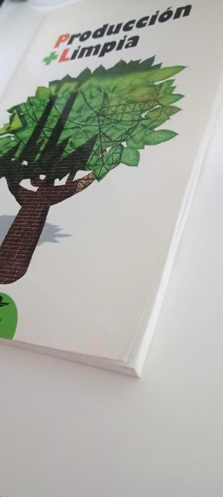 Producción + limpia | Libro UNED. Ciencias