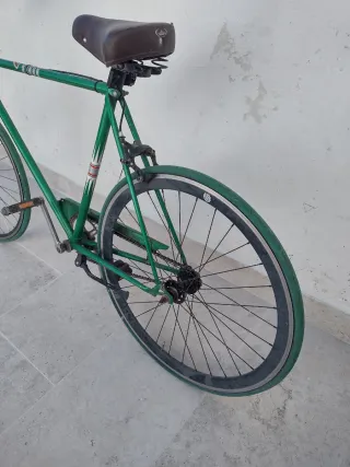 Bicicleta Vintage Verde