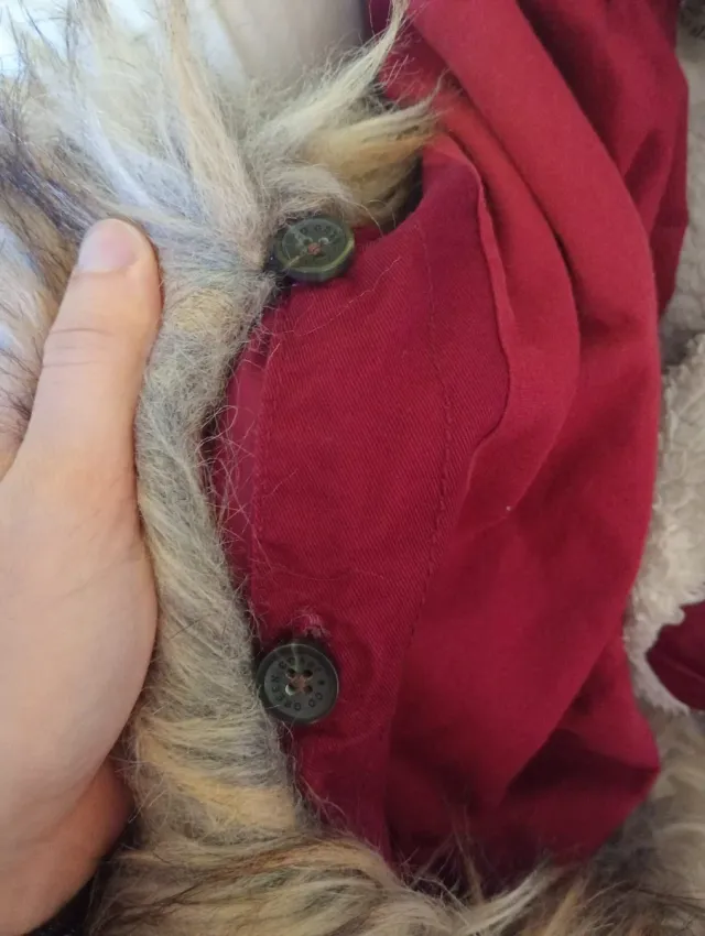 Trenca color burdeos, con capulla con pelo