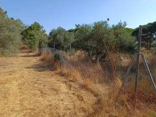 Finca rústica en Villablanca