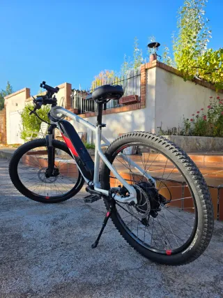 Bicicleta Eléctrica E-ST 100
