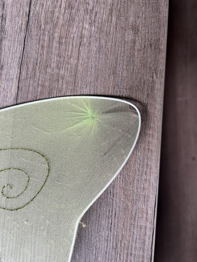 Alas de Hada Infantil