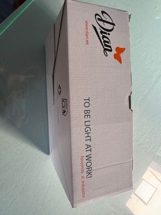 Zapatos de trabajo Dian blancos