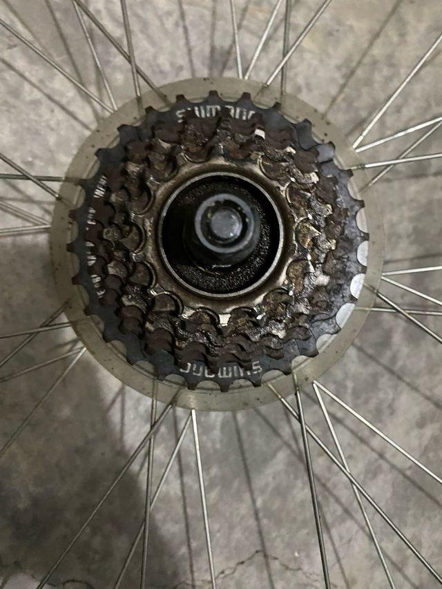 Llanta Bici Paseo Kroos y guardabarros